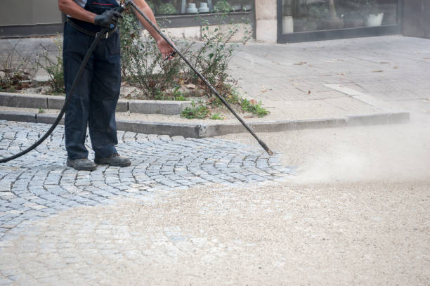 Best House Exterior Washing  in Bagley, MN